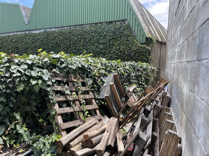 To Let commercial Property for Rent in Montague Gardens Western Cape